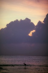 IMG_7741.jpg