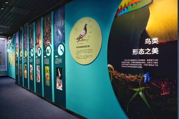 沉思