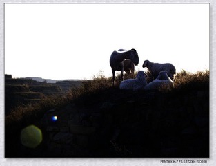 _IGP4931--1.jpg