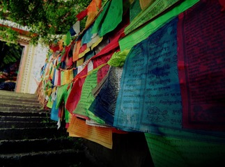 DSCF2116(1).jpg