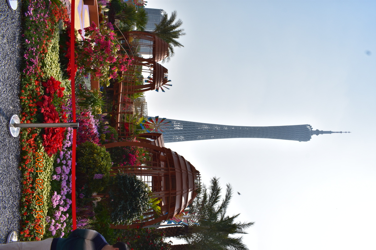 广州海心沙第28届园博会