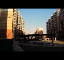 _8BL1950_