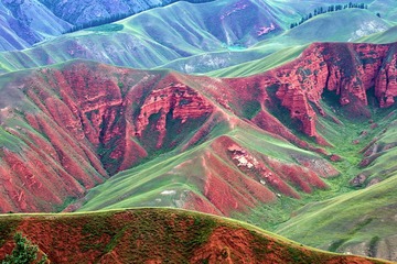 CA5X2954_