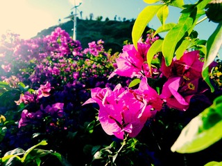DSCN0217_