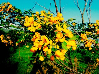 DSCN0248_