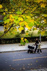 Late Autumn-20