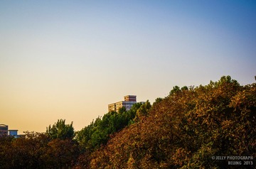 Late Autumn-22