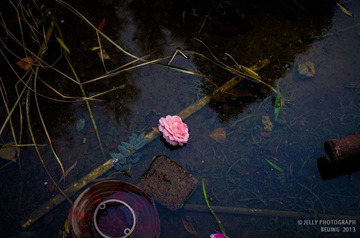 Late Autumn-29