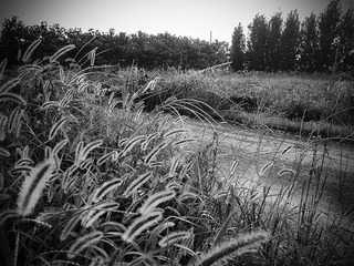 IMG_20130803_171721.jpg