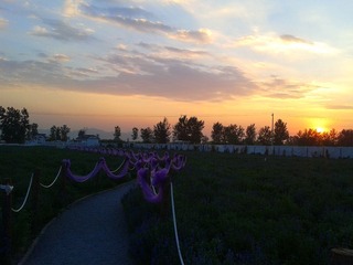 2013-08-30 18.36.40