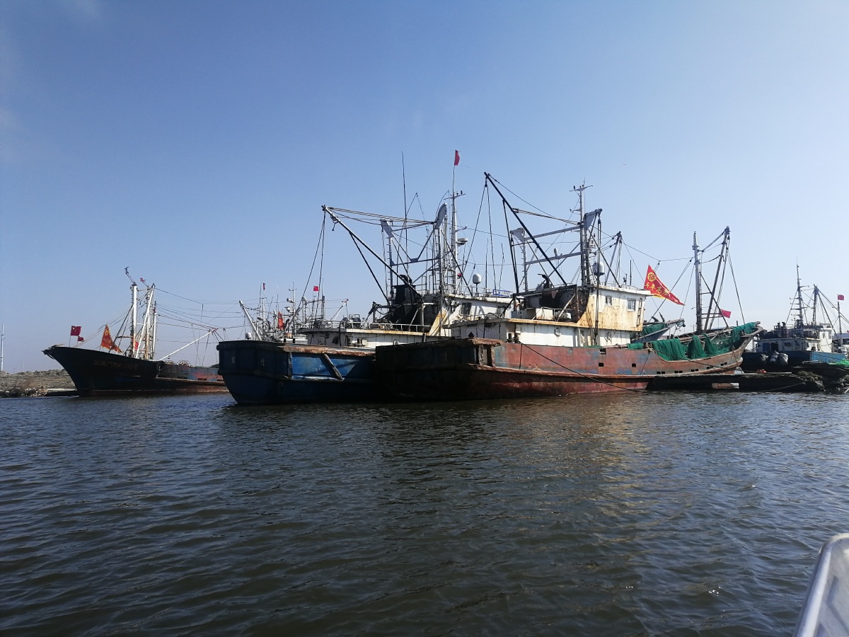 过年码头船都靠岸