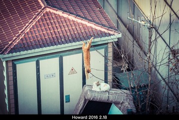 HDDD1723