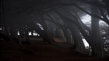 01668_upcomingfoghighway_1920x1080