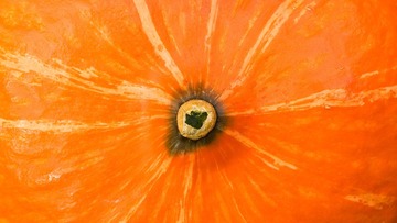 01411_gourd02_1920x1080