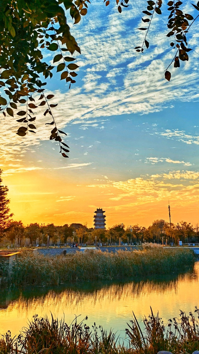 夕阳下秋意浓浓的许昌中央公园