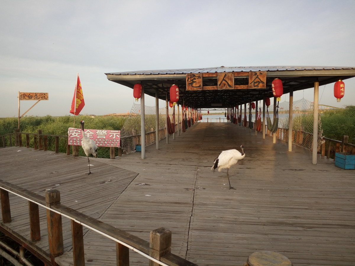 林甸鹤鸣湖美景