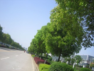 照片 137.jpg