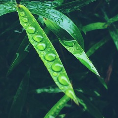 DSC07832_副本.jpg