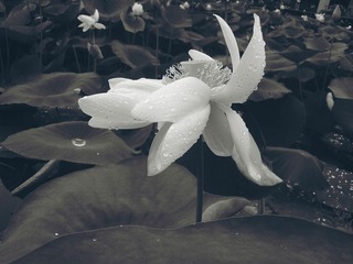 DSC09303_副本.jpg