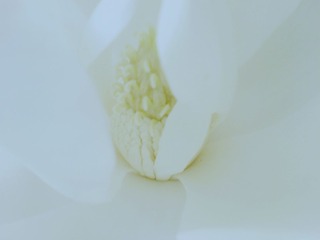 DSC09523_副本.jpg