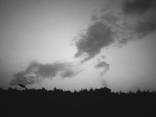 DSC08225_