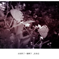 DSC00269_