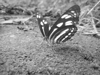DSC00403_