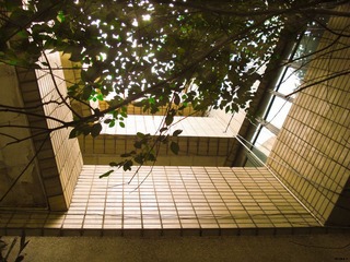 书屋望顶