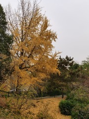 门内门外