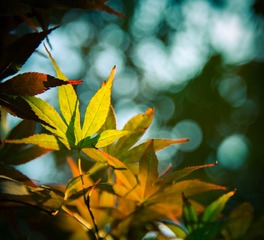 20130630-IMG_0948.jpg