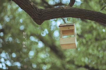 DSC_7333-编辑