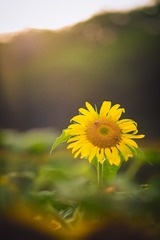 _DSC1782-编辑