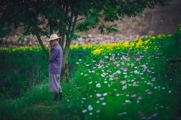 _DSC1818-编辑