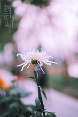 _TJX5642-编辑