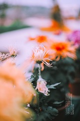 _TJX5646-编辑
