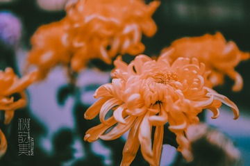 _TJX5640-编辑