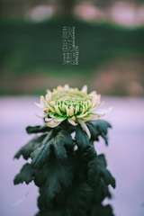 _TJX5643-编辑
