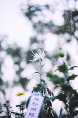 _TJX5644-编辑