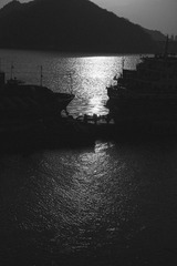 _DSC6803