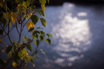 _DSC6817
