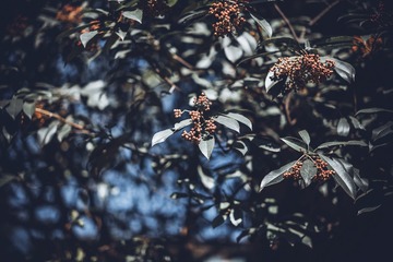 _DSC8431