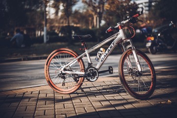 _DSC8783