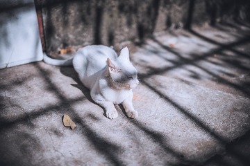 _DSC8482-编辑-2