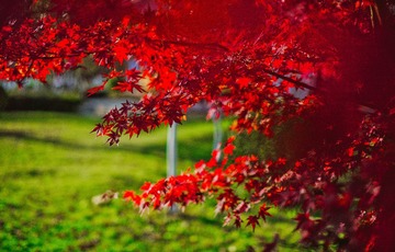 _DSC8801-编辑