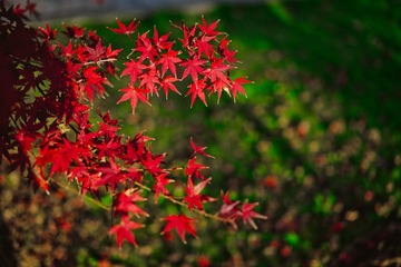 _DSC8805-编辑