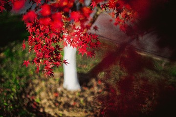 _DSC8823-编辑