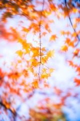 _TJX6948-编辑-3