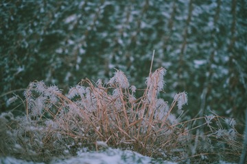 _DSC3157