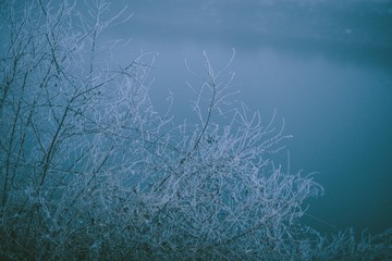 _DSC3177