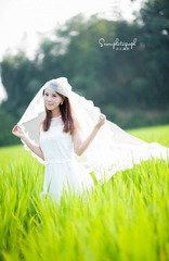 TJX_7169